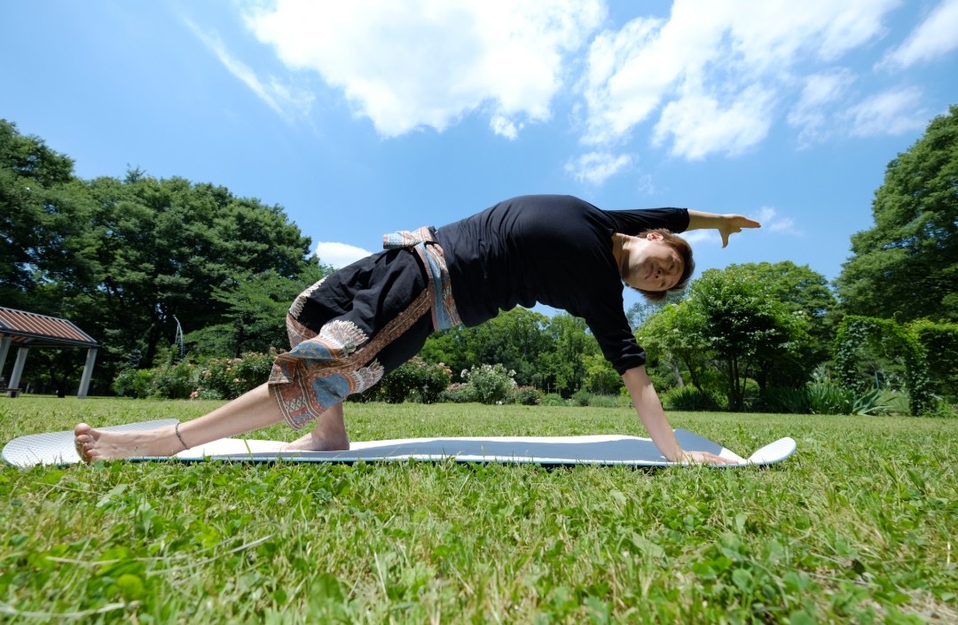 ヨーガ・ヴィッディヤー YOGAの知恵 いやらし